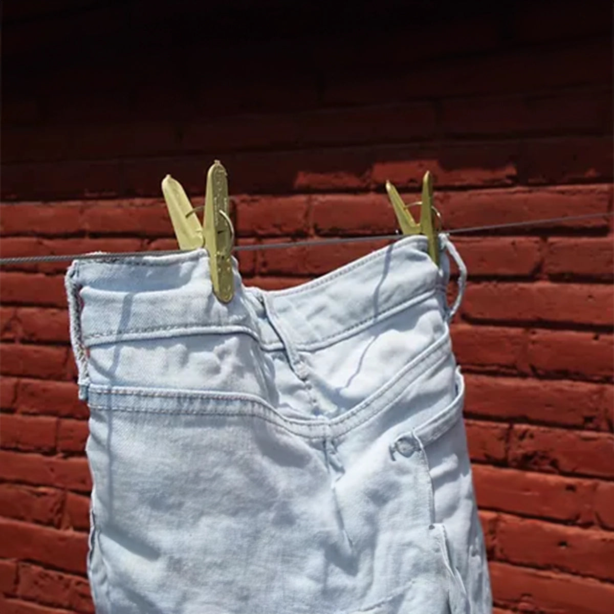 Pinzas | Paquete 24 piezas | Ovallep